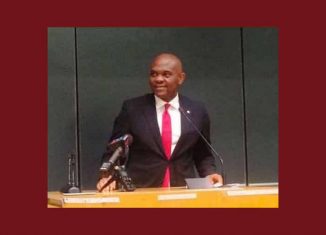 Tony Elumelu livre sa vision du développement de l'Afrique à Harvard et Columbia