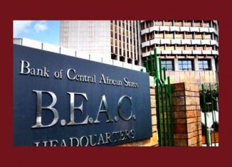 Le FMI reproche aux pays de la Cémac un « recours excessif » à la BEAC