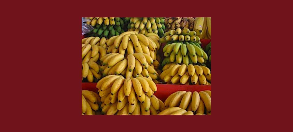 L’Espagnol Tomsa Destil construira une unité de transformation de la banane plantain au Cameroun