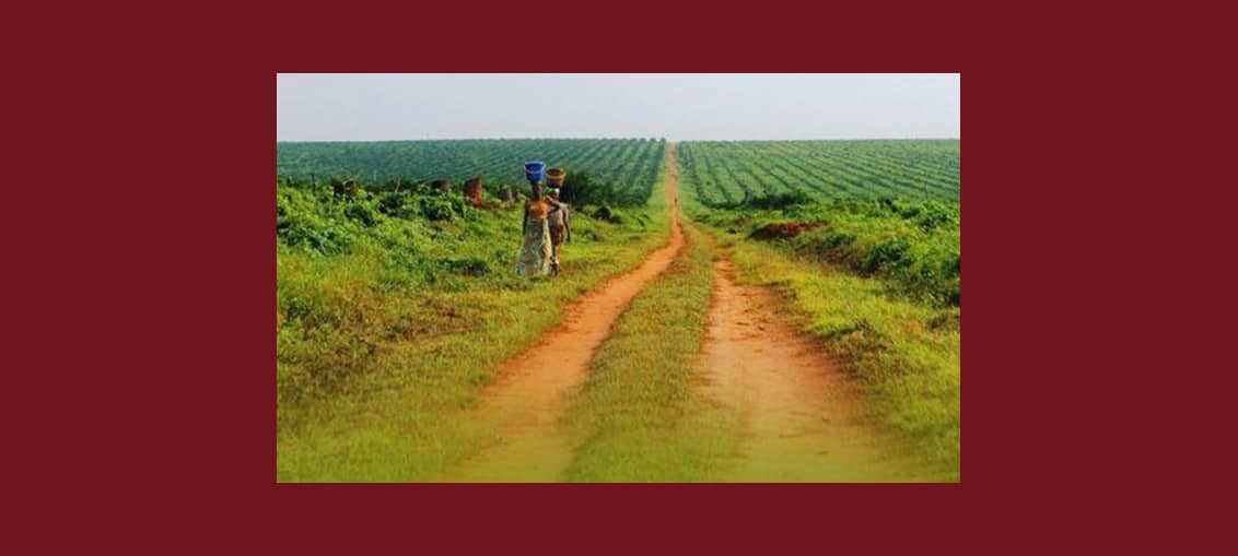 RD Congo : les droits fonciers des paysans menacés par l’entreprise d’exploitation Feronia Inc. – Grain