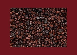 « L’Afrique de l’est ne produira plus de café d’ici la fin du siècle » (rapport)